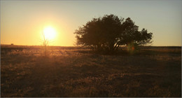 Sonnenuntergang ... / ***
