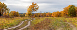 Straße zum Herbst / ***