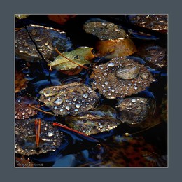  / music: Jethro Tull - Greensleeves
https://www.youtube.com/watch?v=nihsKqoC5yE