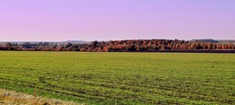 Herbst Panorama / ***