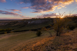 Landschaft mit Lämmern / ...