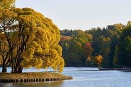 Herbst kommt / ***