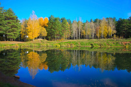 Herbstfarben der Natur. / ***