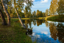 Herbst / ***