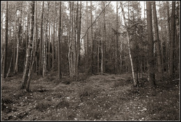im Oktober / 2018