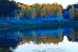 Herbstfarben der Natur. / ***