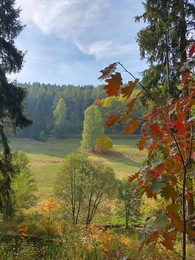 Herbst / ***