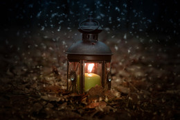 Magic Lantern / ***