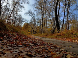 Der Geruch des Herbstes / ***