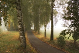 Der Geruch des Herbstes / ***