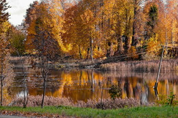 Der Geruch des Herbstes / ***