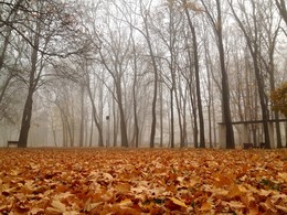 Der Geruch des Herbstes / ***