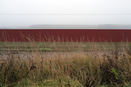 Der Geruch des Herbstes / ***