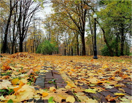 Der Geruch des Herbstes / ***
