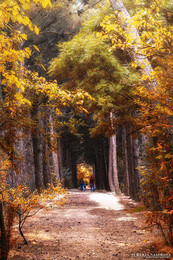 Herbst / ***