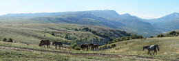 Highlands / ***