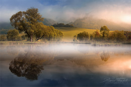 Herbstnebel / Morgens am Rattenberger Teich in der Steiermark.