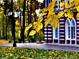 Der Geruch des Herbstes / ***