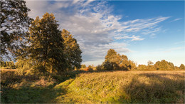 Herbst / ***