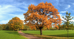 Herbst / ***