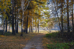 Oktober / ***