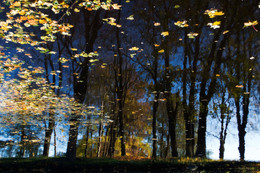 Herbst / ***