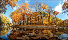 Goldener Herbst / ***