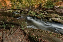 Waldbach / ***