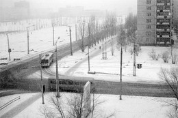 Winter / ***