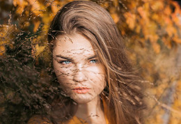 Goldener Herbst / ***