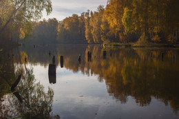 Herbst-Skizzen / ***