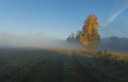 Herbstmorgen / ***