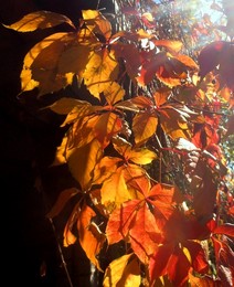 Sonnig / ...