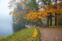 Herbstmorgen ... / ***