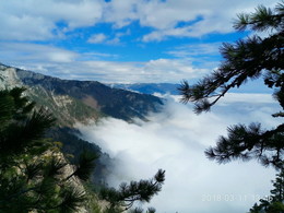Above the sky / ***