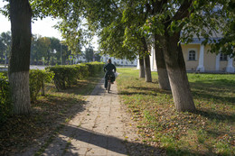 in den Dienst / ***