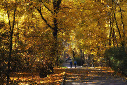 Herbst / ***