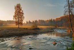Der Geruch des Herbstes / ***