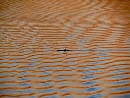 Orange Meer / ***