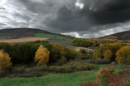 Herbst / ***