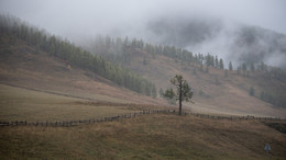 Autumn Altai / ***