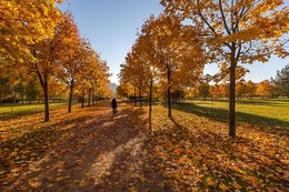 Herbst / ***
