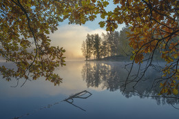Herbst / ***