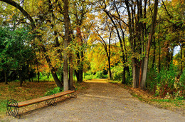 HerbstAllee / ***