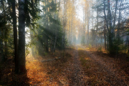 im Oktober / 2018