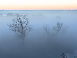 Herbstnebel / ***