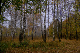 Herbst / ***