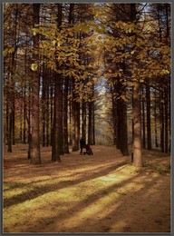 Herbstfarben / ***