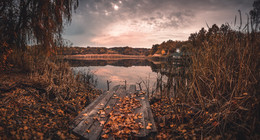 Redhead Herbst / ***