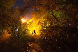 Herbst in der Stadt / ***